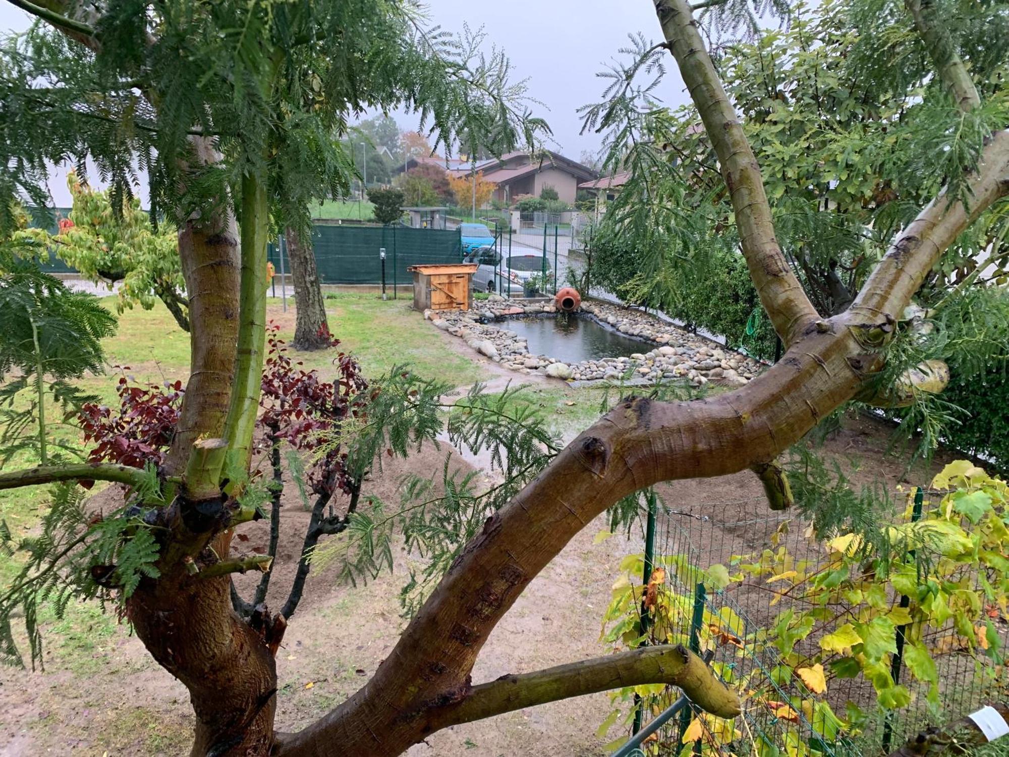 Bed & Breakfast Indi Thelar Villa Guardia Luaran gambar